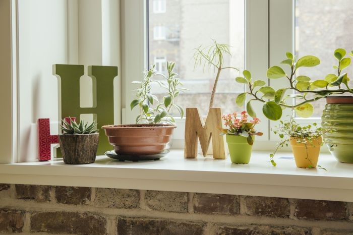 How to decorate a country kitchen window